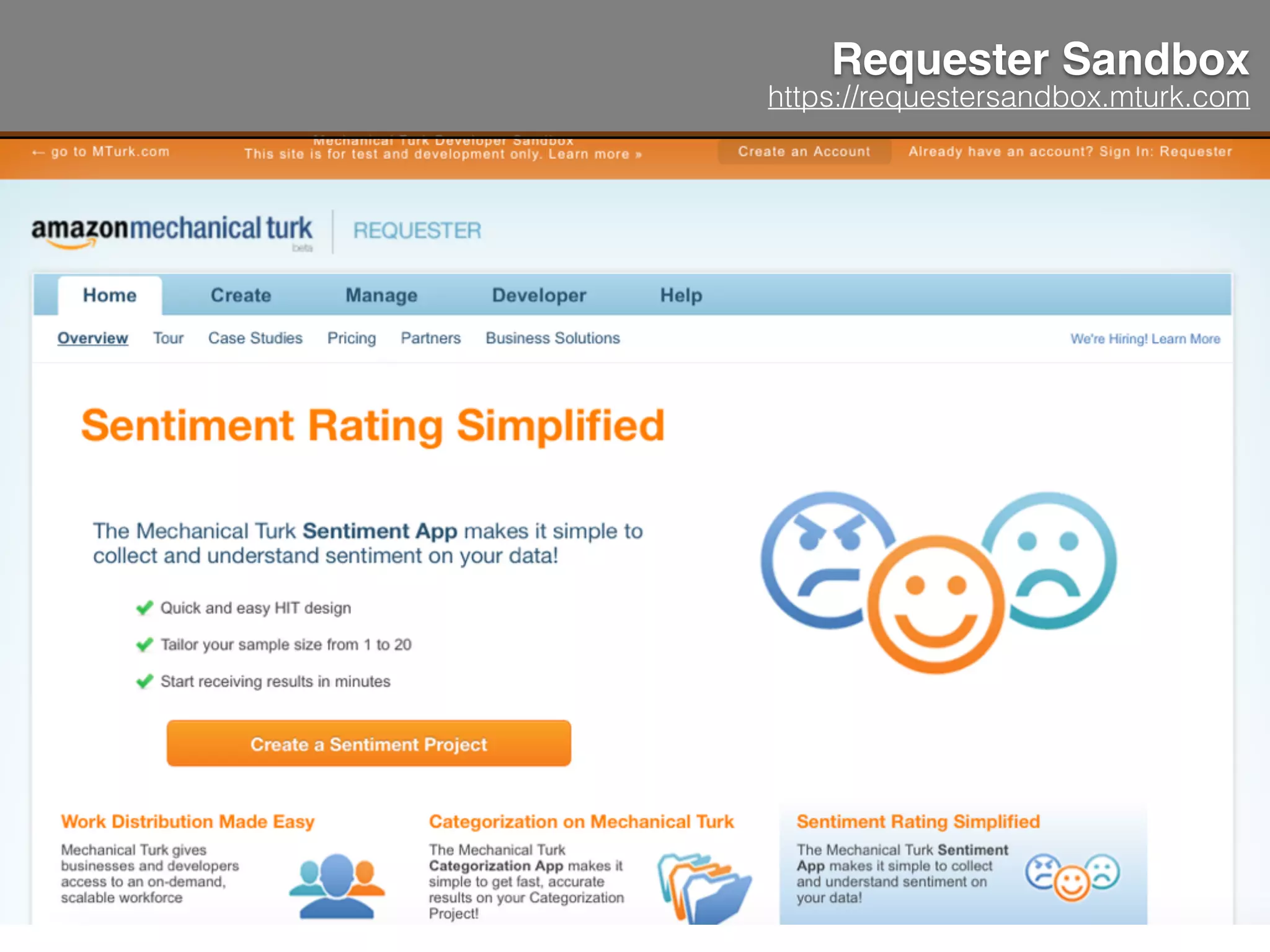 Requester Sandbox
https://requestersandbox.mturk.com
 