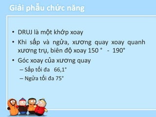Giải phẫu chức năng

• DRUJ là một khớp xoay
• Khi sấp và ngửa, xương quay xoay quanh
  xương trụ, biên độ xoay 150 ° - 190°
• Góc xoay của xương quay
  – Sấp tối đa 66,1°
  – Ngửa tối đa 75°
 