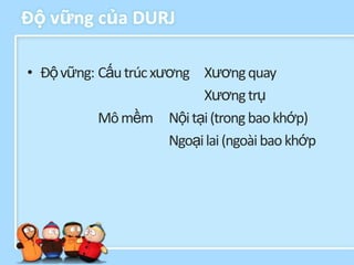 Độ vững của DURJ

• Độ vững: Cấu trúc xương Xương quay
                           Xương trụ
           Mô mềm Nội tại (trong bao khớp)
                      Ngoại lai (ngoài bao khớp
 