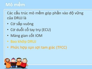Mô mềm
Các cấu trúc mô mềm góp phần vào độ vững
của DRUJ là
• Cơ sấp vuông
• Cơ duỗi cổ tay trụ (ECU)
• Màng gian cốt IOM
• Bao khớp DRUJ
• Phức hợp sụn sợi tam giác (TFCC)
 