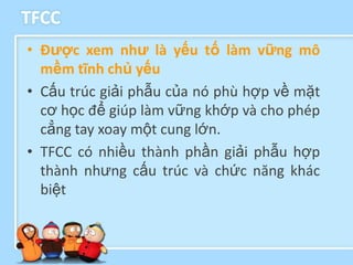 TFCC
• Đƣợc xem nhƣ là yếu tố làm vững mô
  mềm tĩnh chủ yếu
• Cấu trúc giải phẫu của nó phù hợp về mặt
  cơ học để giúp làm vững khớp và cho phép
  cẳng tay xoay một cung lớn.
• TFCC có nhiều thành phần giải phẫu hợp
  thành nhưng cấu trúc và chức năng khác
  biệt
 