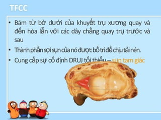 TFCC
• Bám từ bờ dưới của khuyết trụ xương quay và
  đến hòa lẫn với các dây chằng quay trụ trước và
  sau
• Thànhphầnsợisụncủanóđượcbốtríđểchịutảinén.
• Cung cấp sự cố định DRUJ tối thiểu – sụn tam giác
 