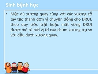 Sinh bệnh học
• Mặc dù xương quay cùng với các xương cổ
  tay tạo thành đơn vị chuyển động cho DRUJ,
  theo quy ước trật hoặc mất vững DRUJ
  được mô tả bởi vị trí của chỏm xương trụ so
  với đầu dưới xương quay.
 
