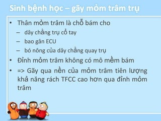 Sinh bệnh học – gãy mỏm trâm trụ
• Thân mỏm trâm là chỗ bám cho
  – dây chằng trụ cổ tay
  – bao gân ECU
  – bó nông của dây chằng quay trụ
• Đỉnh mỏm trâm không có mô mềm bám
• => Gãy qua nền của mỏm trâm tiên lượng
  khả năng rách TFCC cao hơn qua đỉnh mỏm
  trâm
 