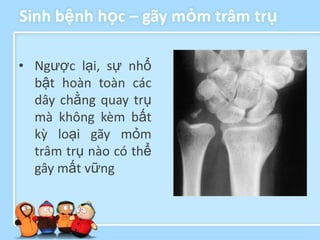 Sinh bệnh học – gãy mỏm trâm trụ

• Ngược lại, sự nhổ
  bật hoàn toàn các
  dây chằng quay trụ
  mà không kèm bất
  kỳ loại gãy mỏm
  trâm trụ nào có thể
  gây mất vững
 
