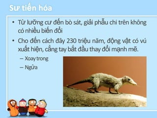 Sƣ tiến hóa
• Từ lưỡng cư đến bò sát, giải phẫu chi trên không
  có nhiều biến đổi
• Cho đến cách đây 230 triệu năm, động vật có vú
  xuất hiện, cẳng tay bắt đầu thay đổi mạnh mẽ.
  – Xoay trong
  – Ngửa
 