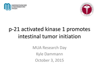 p-21 activated kinase 1 promotes
intestinal tumor initiation
MUA Research Day
Kyle Dammann
October 3, 2015
 