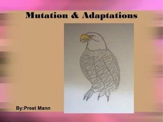 Mutation & Adaptations
By:Preet Mann
 
