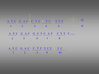 A T C G A C A T C T T C
C T C
A
A T C G A C C A T C T T
G C T
A T C G A C T C T
C T C T C
C …..
1 4
2 3 5
1 7
2 6 8
G
1 9
2 3 10
 