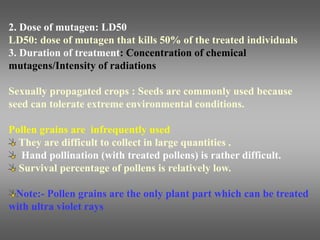 2. Dose of mutagen: LD50
LD50: dose of mutagen that kills 50% of the treated individuals
3. Duration of treatment: Concentration of chemical
mutagens/Intensity of radiations
Sexually propagated crops : Seeds are commonly used because
seed can tolerate extreme environmental conditions.
Pollen grains are infrequently used
They are difficult to collect in large quantities .
Hand pollination (with treated pollens) is rather difficult.
Survival percentage of pollens is relatively low.
Note:- Pollen grains are the only plant part which can be treated
with ultra violet rays
 