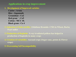 Applications in crop improvement
1. Development of Improved varieties
Castor : Aruna
Rice : Jagannath
Groundnut : Co2
Red gram ` : Co5
Cotton : MCU 10.
Black gram : Co 4
2. Induction of Male sterility: Ethidium Bromide- CMS in Wheat, Barley
Pearl millet
3. Production of Haploids: X-ray irradiated pollens has helped in
production of haploids in many crops
4. Creation of variability: Asexual crops (Sugar cane, potato & Flower
crops)
5. Overcoming Self Incompatibility
 