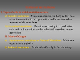 TYPES OF MUTATIONS
I. Types of cells in which mutation occurs.
a) Somatic mutations : Mutations occurring in body cells. These
are not transmitted to next generation and hence termed as
non-heritable mutations.
b) Germinal mutations : Mutations occurring in reproductive
cells and such mutations are heritable and passed on to next
generation
II. Mode of Origin
a) Spontaneous mutations or Natural Mutations : Mutations
occur naturally (10-6 )
b) Induced mutations : Produced artificially in the laboratory.
 