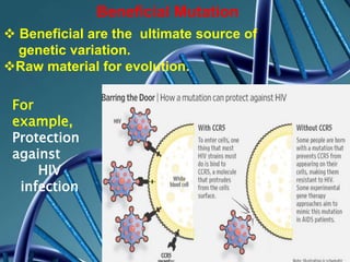 Beneficial Mutation
 Beneficial are the ultimate source of
genetic variation.
Raw material for evolution.
For
example,
Protection
against
HIV
infection
 