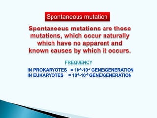 Spontaneous mutation
 