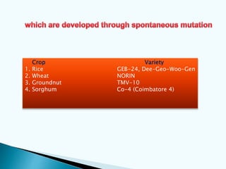 Crop Variety
1. Rice GEB-24, Dee-Geo-Woo-Gen
2. Wheat NORIN
3. Groundnut TMV-10
4. Sorghum Co-4 (Coimbatore 4)
 