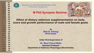 M Phil Synopsis Seminar
Effect of dietary selenium supplementation on body
score and growth performance of male and female goats
Under Kind Supervision of
Dr. Mool Chand Malhi
Assistant Professor
Department of Veterinary Physiology & Biochemistry
By
Nabi B. Solangi
M Phil Scholar
 