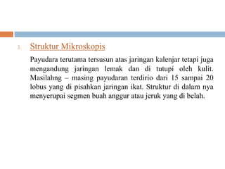 3. Struktur Mikroskopis
Payudara terutama tersusun atas jaringan kalenjar tetapi juga
mengandung jaringan lemak dan di tutupi oleh kulit.
Masilahng – masing payudaran terdirio dari 15 sampai 20
lobus yang di pisahkan jaringan ikat. Struktur di dalam nya
menyerupai segmen buah anggur atau jeruk yang di belah.
 