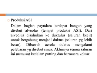  Produksi ASI
Dalam bagian payudara terdapat bangun yang
disebut alveolus (tempat produksi ASI). Dari
alveolus disalurkan ke duktulus (saluran kecil)
untuk bergabung menjadi duktus (saluran yg lebih
besar). Dibawah aerola duktus mengalami
pelebaran yg disebut sinus. Akhirnya semua saluran
ini memusat kedalam putting dan bermuara keluar.
 