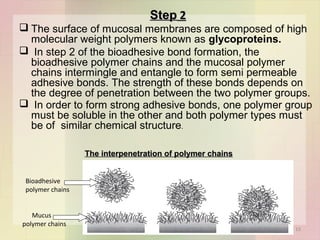Intermingling Polymer Muccoadhesive drug delivery system | PPT
