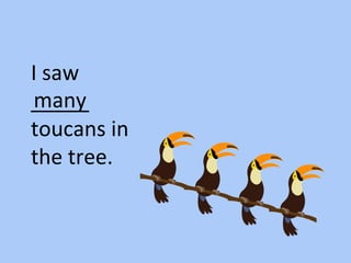 I saw
_____
toucans in
the tree.
many
 