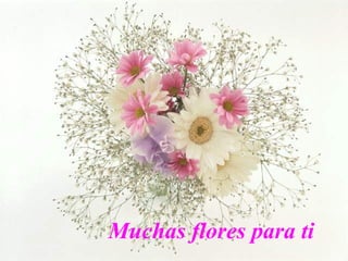 Muchas flores para ti 