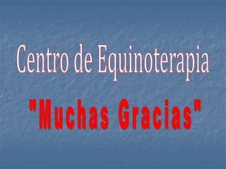 Centro de Equinoterapia "Muchas Gracias" 