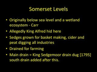 Somerset Levels
• Originally below sea level and a wetland
ecosystem - Carr
• Allegedly King Alfred hid here
• Sedges grown for basket making, cider and
peat digging all industries
• Drained for farming
• Main drain = King Sedgemoor drain dug [1795]
south drain added after this.
 