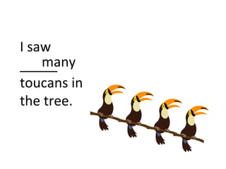 I saw
_____
toucans in
the tree.
many
 