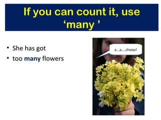 If you can count it, use
‘many ’
• She has got
• too many flowers
a...a....chooo!
 