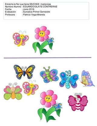 Encierra la flor que tiene MUCHAS mariposas
Nombre Alumno : EDUARDO OLATE CONTRERAS
Fecha : Junio 2016
Evaluación ; Sumativa Primer Semestre
Profesora : Patricia Vega Miranda
 