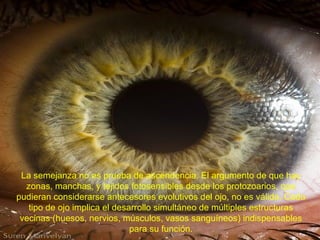 La semejanza no es prueba de ascendencia. El argumento de que hay
  zonas, manchas, y tejidos fotosensibles desde los protozoarios, que
pudieran considerarse antecesores evolutivos del ojo, no es válida. Cada
   tipo de ojo implica el desarrollo simultáneo de múltiples estructuras
 vecinas (huesos, nervios, músculos, vasos sanguíneos) indispensables
                              para su función.
 