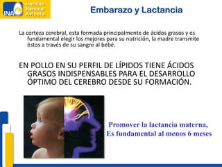 Embarazo y Lactancia

La corteza cerebral, esta formada principalmente de ácidos grasos y es
    fundamental elegir los mejores para su nutrición, la madre transmite
    éstos a través de su sangre al bebé.


EN POLLO EN SU PERFIL DE LÍPIDOS TIENE ÁCIDOS
  GRASOS INDISPENSABLES PARA EL DESARROLLO
  ÓPTIMO DEL CEREBRO DESDE SU FORMACIÓN.



                                  Promover la lactancia materna,
                                  Es fundamental al menos 6 meses
 