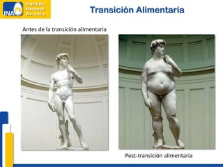 Transición Alimentaria

Antes de la transición alimentaria




                                     Post-transición alimentaria
 