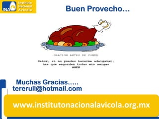 Buen Provecho…




 Muchas Gracias…..
tererull@hotmail.com

www.institutonacionalavicola.org.mx
 