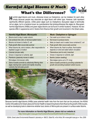 Harmful Algal Blooms & Muck                                                                                          IC
                                                                                                                          AN
                                                                                                                               D AT
                                                                                                                                    MOSPH
                                                                                                                                          ER
                                                                                                                                                 IC




                                                                                                            N




                                                                                                                                                  AD
                                                                                                       EA




                                                                                                                                                      MI
                                                                                                             C




                                                                                                                                                          N IS
                                                                                                  IO N A L O




                                                                                                                                                          T R A T IO N
                        What’s the Difference?




                                                                                                   NATU.




                                                                                                                                                      CE
                                                                                                                 D




                                                                                                         S.
                                                                                                                     EP




                                                                                                                                                  R
                                                                                                                                                      E
                                                                                                                          AR
                                                                                                                               TME           O   MM
                                                                                                                                     NT OF C




       H     armful algal blooms and muck, otherwise known as Cladophora, can be mistaken for each other
             simply because people may associate an algal bloom with either type. However, both represent
       significantly different species. Unlike green algae such as Cladophora, blue-green algae is technically
       not an algae, but is a bacteria known as cyanobacteria that photosynthesizes like algae do. Blue-green
       harmful algal blooms (HABs) and green algae blooms can be found in similar locations. However, the two
       species differ in appearance and in factors that influence their growth and movement in the Great Lakes.

      Harmful Algal Bloom: Microcystis                               Muck: Cladophora or Spirogyra
◆     Blooms tend to stay in water column                       ◆    Can wash up on shore in mats
◆     Can produce liver, skin, or nervous system toxins         ◆    Not known to produce toxins
◆     Blooms not known to harbor E. coli                        ◆    Mats (on beach and in water) have contained E. coli
◆     Peak growth often occurs late summer                      ◆    Peak growth often occurs early summer
◆     When blooms die, sink to bottom, often responsible for    ◆    When blooms die, float to surface, final location
      depleted oxygen on bottom                                      depends on wind and water bottom circulation
◆     Colonial (circular cells)                                 ◆    Filamentous (end to end), branched
◆     Grows in response to nutrients, light                     ◆    Grows in response to nutrients, light
◆     Planktonic (passively moves in water)                     ◆    Benthic (bottom dwelling)
      Microalgae (microscopic cells)                            ◆    Macroalgae (grow up to 3 ft. long)
◆     Zebra mussels promote by selectively filtering other      ◆    Zebra mussels promote by providing substrate for
      algae, leaving toxic cyanos and rapidly recycling              growth and providing localized nutrient source.
      nutrients that stimulate growth.




Because harmful algal blooms (HABs) pose potential health risks from the toxin that can be produced, the NOAA
Center of Excellence for Great Lakes and Human Health is researching factors that influence the growth of Microcystis,
as well as developing tools to determine whether toxic strains of Microcystis are present in surface water blooms.

                    For more information on Harmful Algal Blooms, please visit our website at:
                     http://www.glerl.noaa.gov/res/Centers/HumanHealth/hab/EventResponse/
    NOAA, Great Lakes Environmental Research Laboratory ◆ 4840 S. State Rd. ◆ Ann Arbor, MI ◆ www.glerl.noaa.gov ◆ Nov. 2009
 