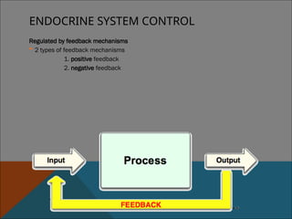 Comprehensive Overview of the Human Endocrine System and Hormonal ...