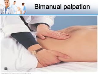 Bimanual palpation
 