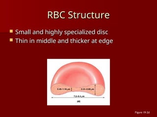 MUCLecture_2024_52529825623355422446.ppt