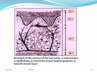 Structure of the mucosa of the oral cavity: 1) mucus layer;
            2) epithelium; 3) connective tissue (lamina propria); 4)
            smooth muscle layer

2/24/2013                Seminar                                          10
 