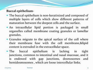 Buccal epithelium-
   The buccal epithelium is non-keratinized and composed of
    multiple layers of cells which show different patterns of
    maturation between the deepest cells and the surface.
   An intracellular lipid portion is packaged in small
    organelles called membrane coating granules or lamellar
    granules.
   Granules migrate to the apical surface of the cell where
    their membrane fuse with the cell membrane,&lipid
    content is extruded in the extracellular space.
   The    buccal     epithelium     is    lacking  in    tight
    junctions, common to intestinal and nasal mucosae, and it
    is endowed with gap junctions, desmosomes and
    hemidesmosomes , which are loose intercellular links.
2/24/2013        Seminar                                      9
 