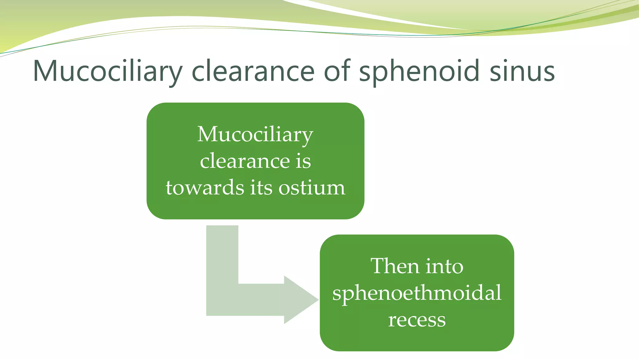 Mucociliary
clearance is
towards its ostium
Then into
sphenoethmoidal
recess
Mucociliary clearance of sphenoid sinus
 