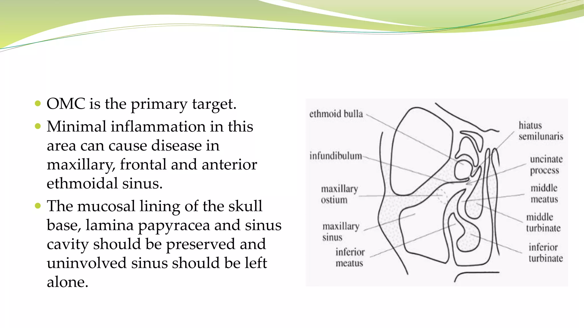  OMC is the primary target.
 Minimal inflammation in this
area can cause disease in
maxillary, frontal and anterior
ethmoidal sinus.
 The mucosal lining of the skull
base, lamina papyracea and sinus
cavity should be preserved and
uninvolved sinus should be left
alone.
 
