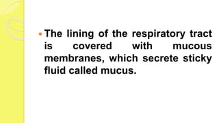  The lining of the respiratory tract
is covered with mucous
membranes, which secrete sticky
fluid called mucus.
 