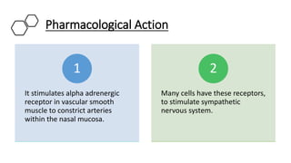 Pharmacological Action
It stimulates alpha adrenergic
receptor in vascular smooth
muscle to constrict arteries
within the nasal mucosa.
1
Many cells have these receptors,
to stimulate sympathetic
nervous system.
2
 