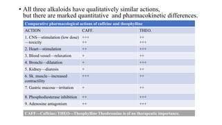 • All three alkaloids have qualitatively similar actions,
but there are marked quantitative and pharmacokinetic differences.
Comparative pharmacological actions of caffeine and theophylline
ACTION CAFF. THEO.
1. CNS—stimulation (low dose)
—toxicity
+++
++
++
+++
2. Heart—stimulation ++ +++
3. Blood vessel—relaxation + ++
4. Bronchi—dilatation + +++
5. Kidney—diuresis + ++
6. Sk. muscle—increased
contractility
+++ ++
7. Gastric mucosa—irritation + ++
8. Phosphodiesterase inhibition ++ +++
9. Adenosine antagonism ++ +++
CAFF—Caffeine; THEO—Theophylline Theobromine is of no therapeutic importance.
 