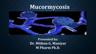 Mucormycosis
Presented by;
Dr. Mithun G. Maniyar
M Pharm Ph.D.
 