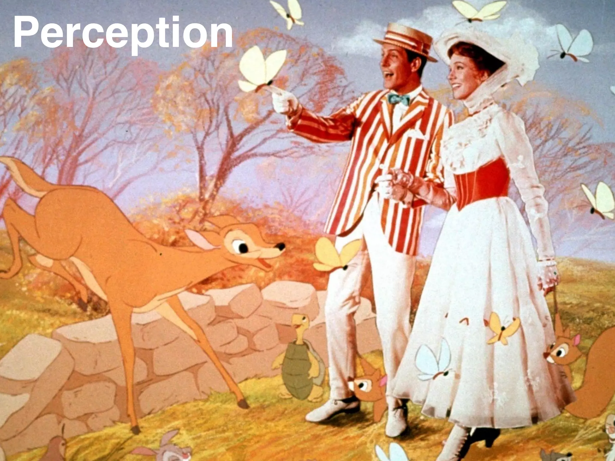 • Perception:
• Reality:
InnovationPerception
 