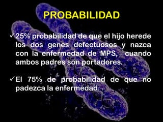 MPS son progresivas, al pasar el tiempo estos glicosaminoglicanos se acumulan en las células, la sangre y el tejido conectivo. 5