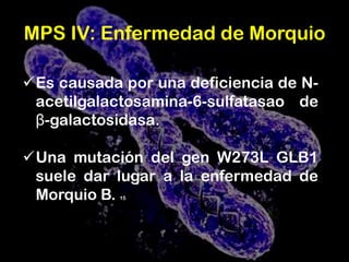 Respiración ruidosa