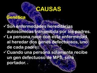 DESCRIPCIONSSon un grupo de trastornos hereditarios causados ​​por la falta de enzimas lisosomales específicas implicadas en la degradación de los glicosaminoglicanos (GAG).3